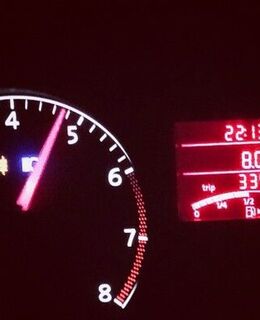 Кот Базилио