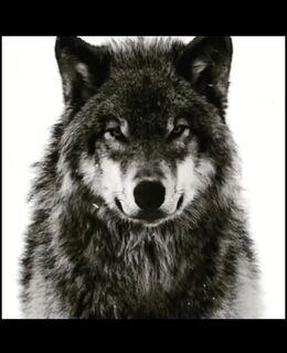 Евгений — фото 1