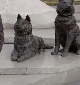 Bakinets58@yandes.ry — фото 1