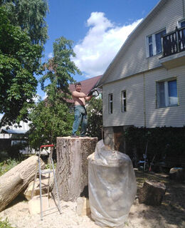 Дмитрий Паранков