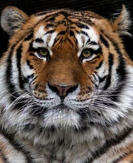 Эдуард — фото 1