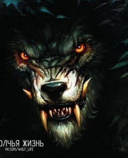 Александр Прохоров-Ворошилов