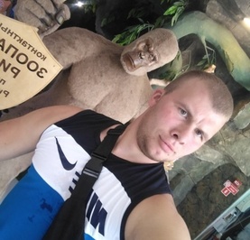 Кот В