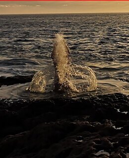 usuotas — фото 8