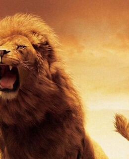 Мр Варданян